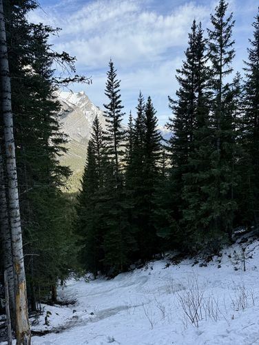 Picture 12 of Wedge Smears Trail and Ice Climb