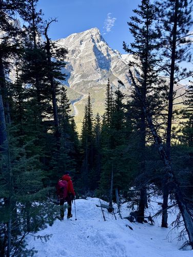 Picture 58 of Wedge Smears Trail and Ice Climb