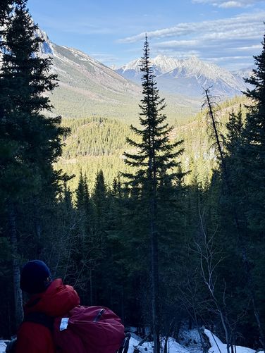 Picture 60 of Wedge Smears Trail and Ice Climb