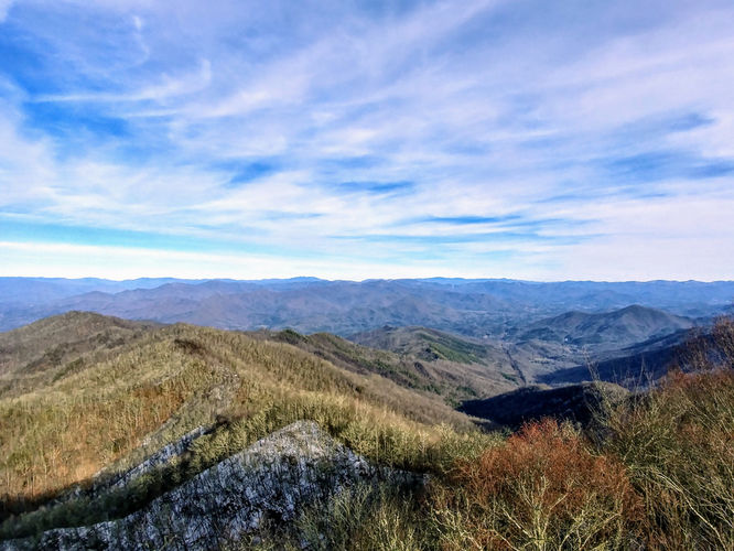 Picture 7 of Wesser Bald Hike 121617