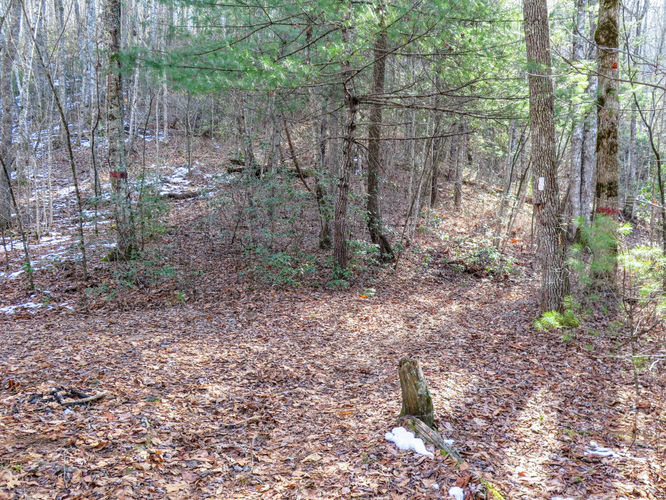 Picture 17 of Wesser Bald Hike 121617