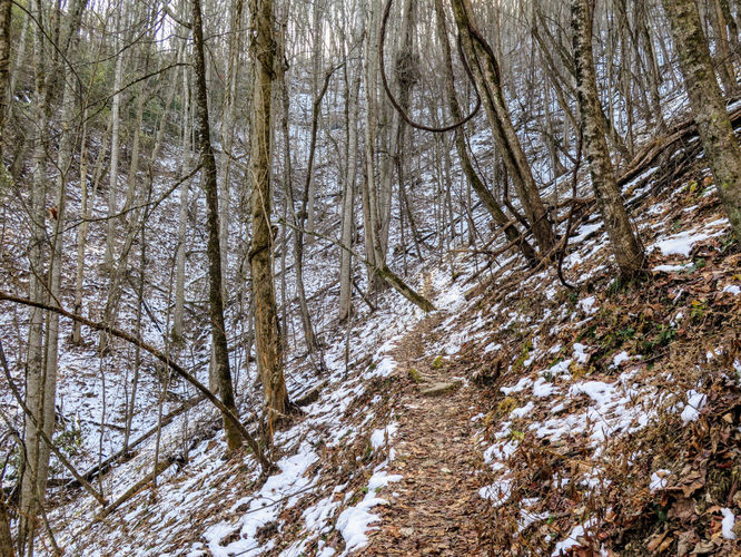 Picture 18 of Wesser Bald Hike 121617