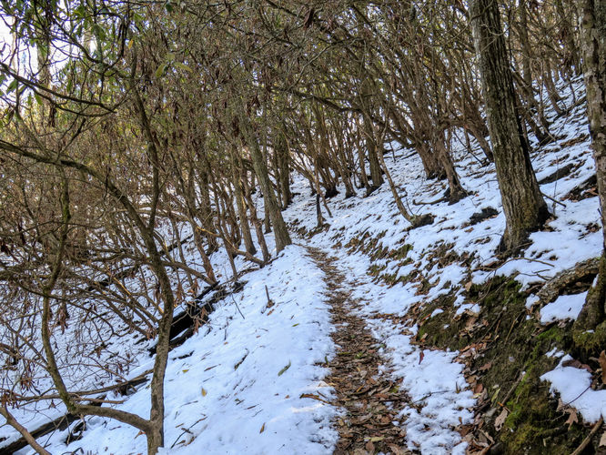 Picture 19 of Wesser Bald Hike 121617