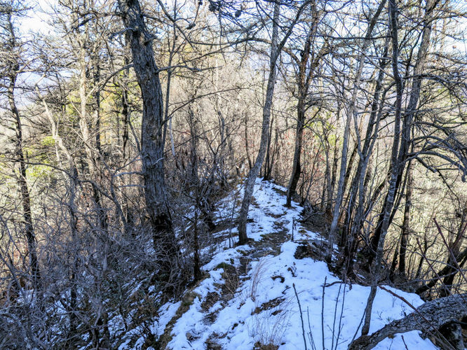 Picture 20 of Wesser Bald Hike 121617