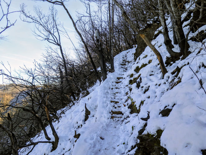 Picture 22 of Wesser Bald Hike 121617