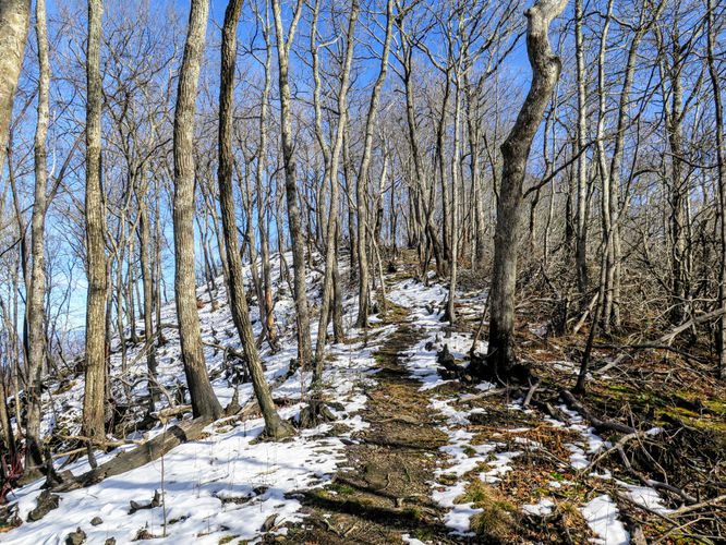 Picture 24 of Wesser Bald Hike 121617