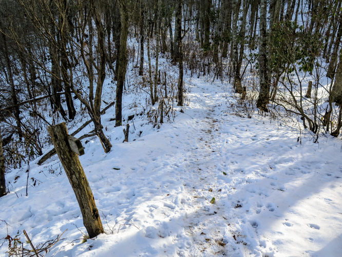 Picture 25 of Wesser Bald Hike 121617