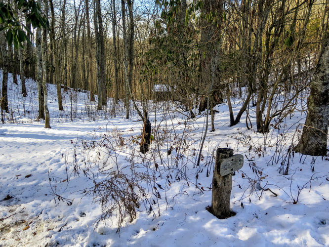 Picture 26 of Wesser Bald Hike 121617