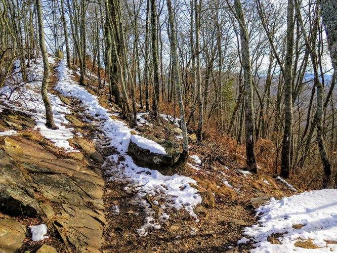 Picture 46 of Wesser Bald Hike 121617