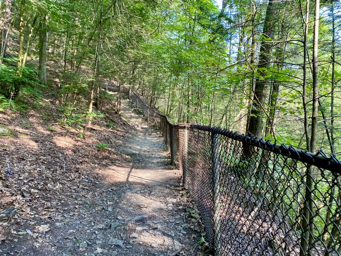 Fence line protects visitors along Stony Brook's West Rim Trail