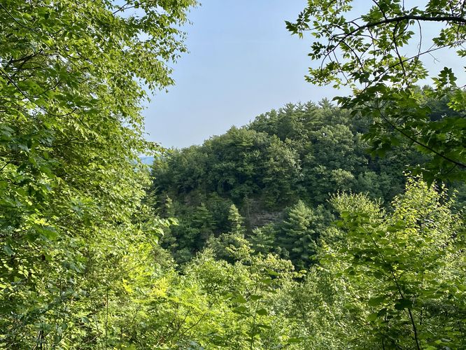 View into the Stony Brook gorge of a nearby hill with cliffs