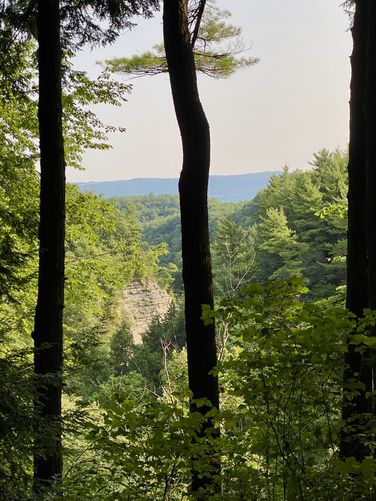 View into the Stony Brook gorge with rock cliffs in view