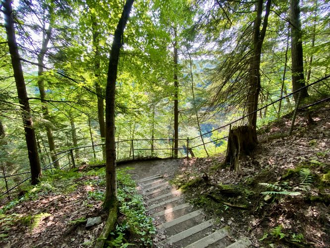 Viewing area for Stony Brook Falls