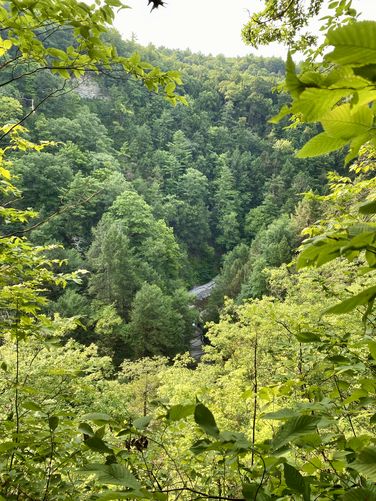 View into the Stony Brook gorge