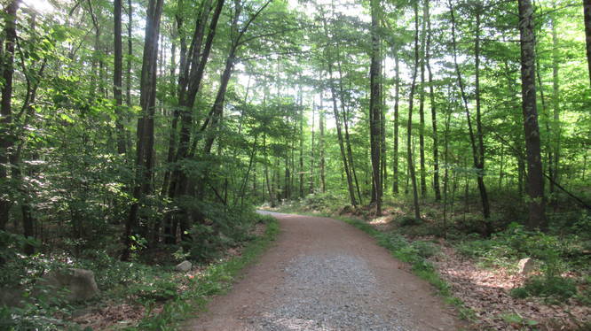 The road that leads from the parking areas to the trails