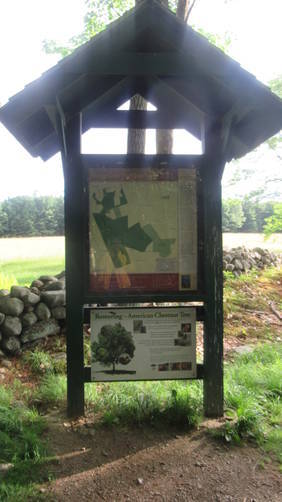 Trail Kiosk with map and information
