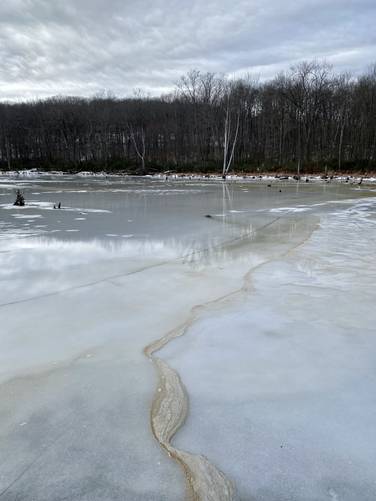 Patterns in the ice at Whispering Pines Lake / Bristol Swamp