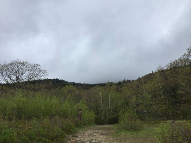 Picture 7 of White Arrow Trail to Mt Monadnock