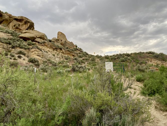 Trailhead leads up the hill to reach the White Bird Petroglyphs