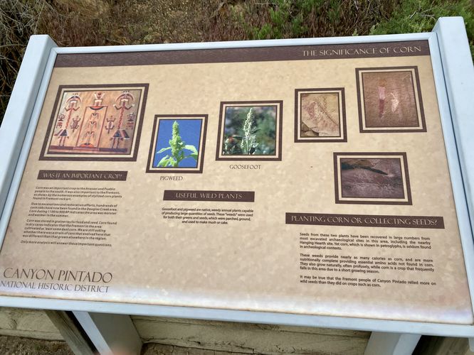 The Significance of Corn: Fremont petroglyph history