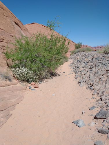 Sand-like substrate 