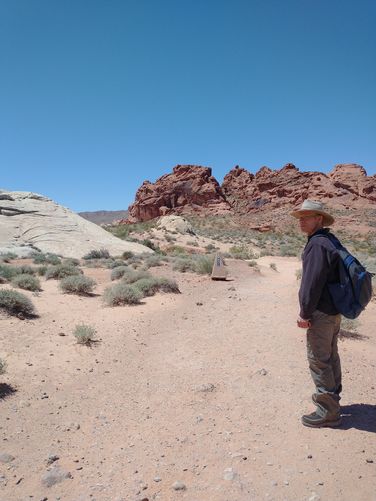 Gorgeous Sandstone formations can be seen along the trail