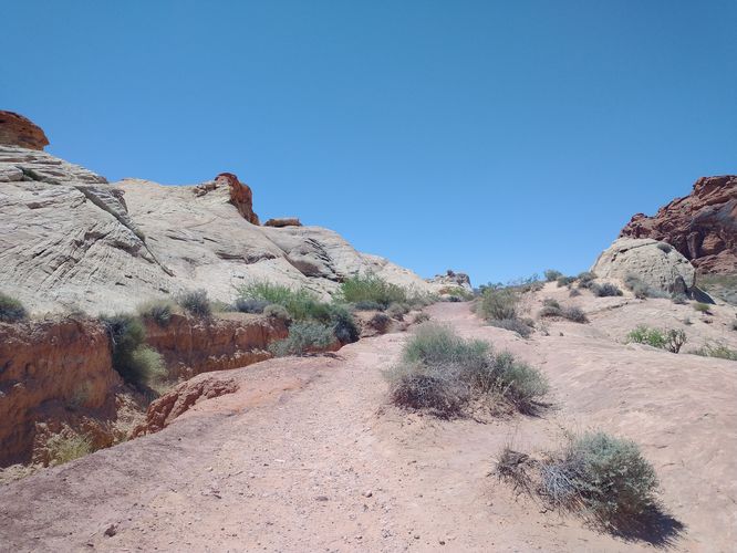 Easy walking on trail substrate