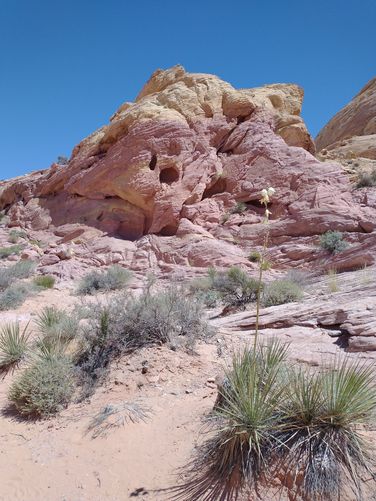 Layers of muted colors in the rock formations