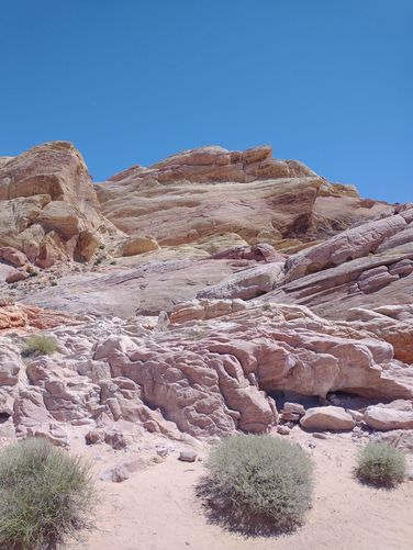 Alien looking rock formations