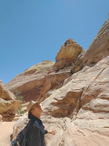 Admiring the rugged beauty of the Domes