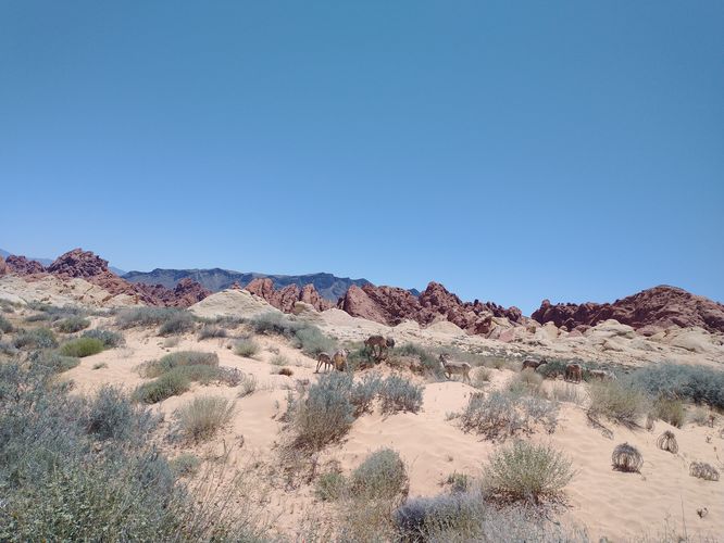Sandstone Rock formations in the distance