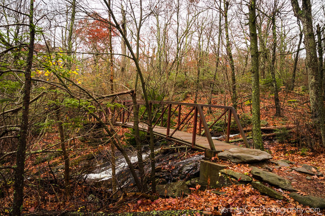 Picture 3 of White Oak Canyon Cedar Run Hike 110115