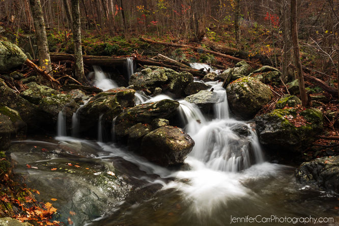 Picture 9 of White Oak Canyon Cedar Run Hike 110115
