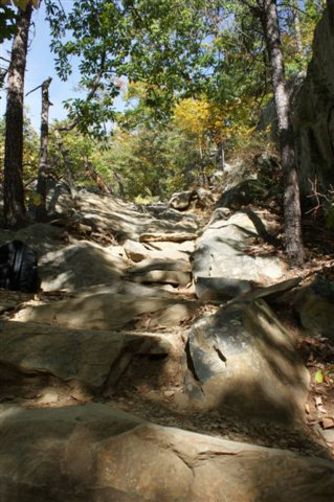 Picture 2 of White Oak Canyon Hike 101408