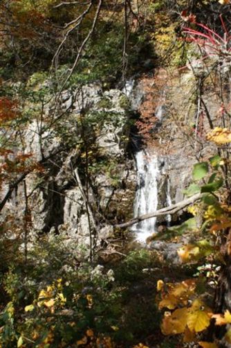 Picture 4 of White Oak Canyon Hike 101408