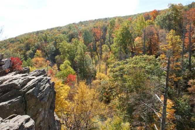 Picture 10 of White Oak Canyon Hike 101408