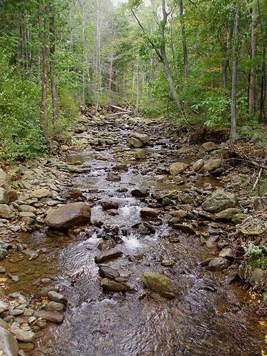 Picture 7 of White Oak Canyon and Cedar Run Hike 092306
