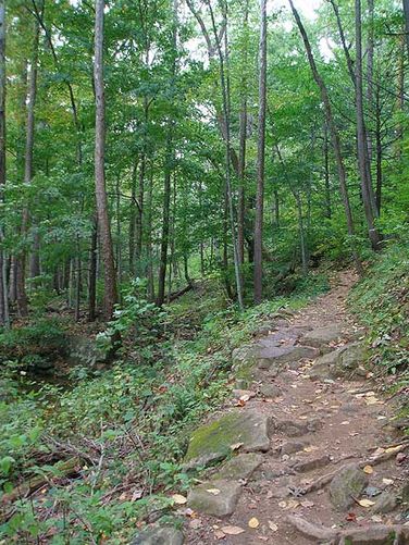 Picture 8 of White Oak Canyon and Cedar Run Hike 092306