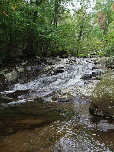 Picture 21 of White Oak Canyon and Cedar Run Hike 092306