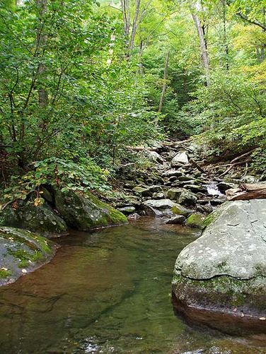 Picture 26 of White Oak Canyon and Cedar Run Hike 092306