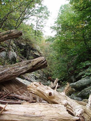 Picture 30 of White Oak Canyon and Cedar Run Hike 092306