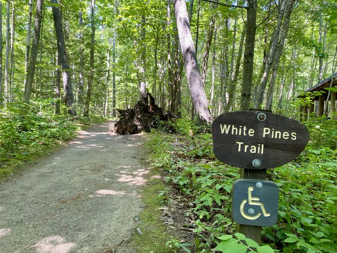 Universally-accessible White Pines Trail