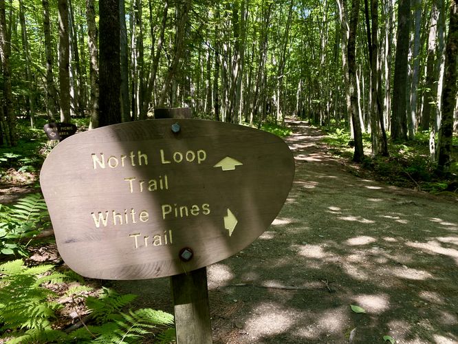Right-hand turn to stay on White Pines Trail
