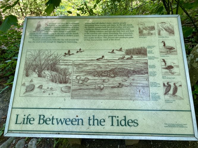 Life Between the Tides info kiosk about wildlife