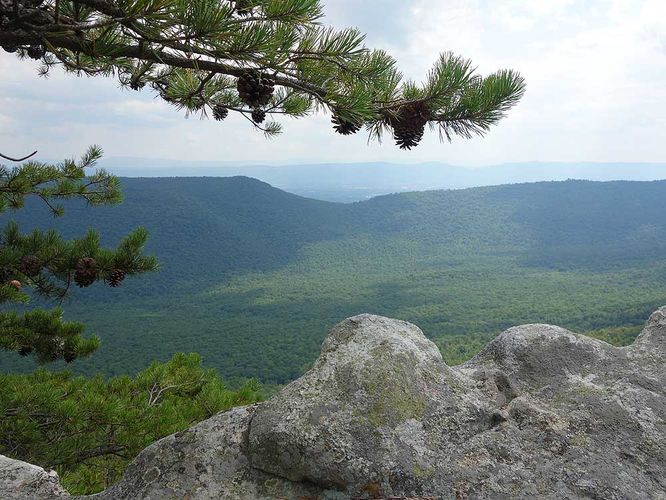 Default image for White Rock Cliff Hike, a 8.8-mile trail in Wardensville, WV (US)