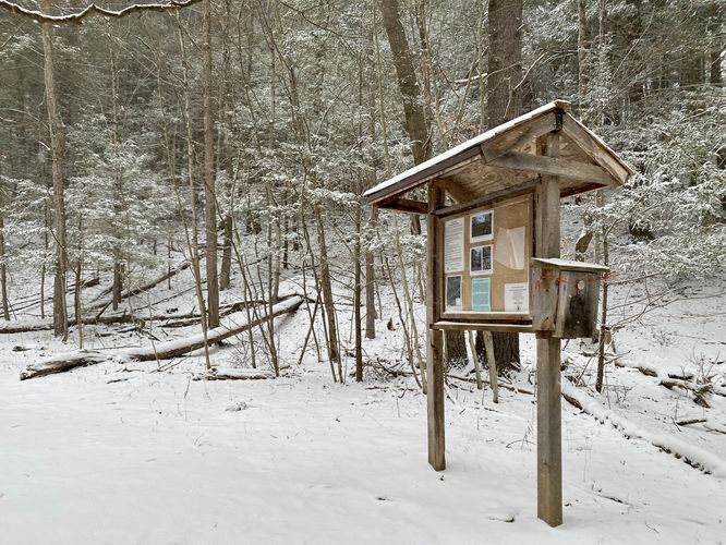 Stevenson Foerst Preserve trail registry