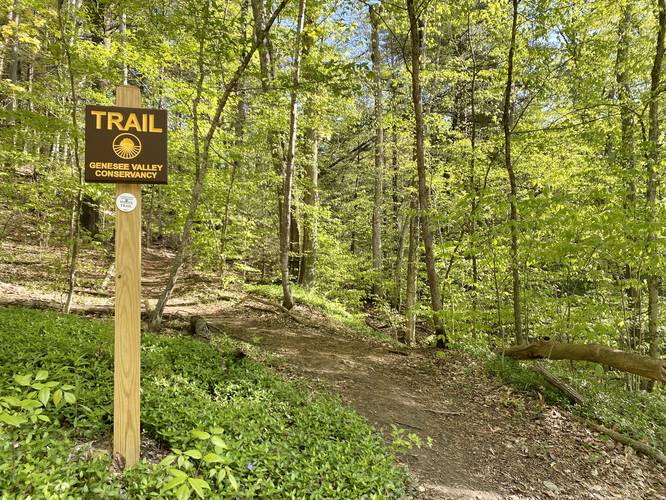 The Gulley Preserve White Trail trailhead