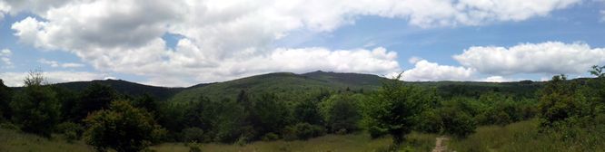 Picture 2 of Wilbur Ridge and Pine Mountain 070614