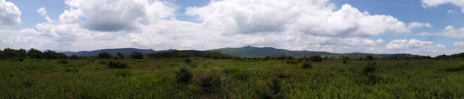 Picture 3 of Wilbur Ridge and Pine Mountain 070614