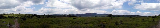 Picture 4 of Wilbur Ridge and Pine Mountain 070614